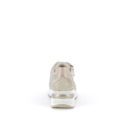  | 253XS513