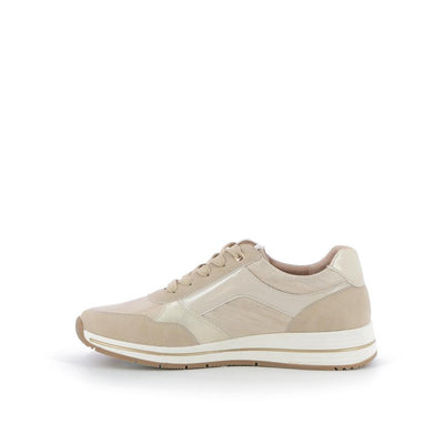 | 253XS514
