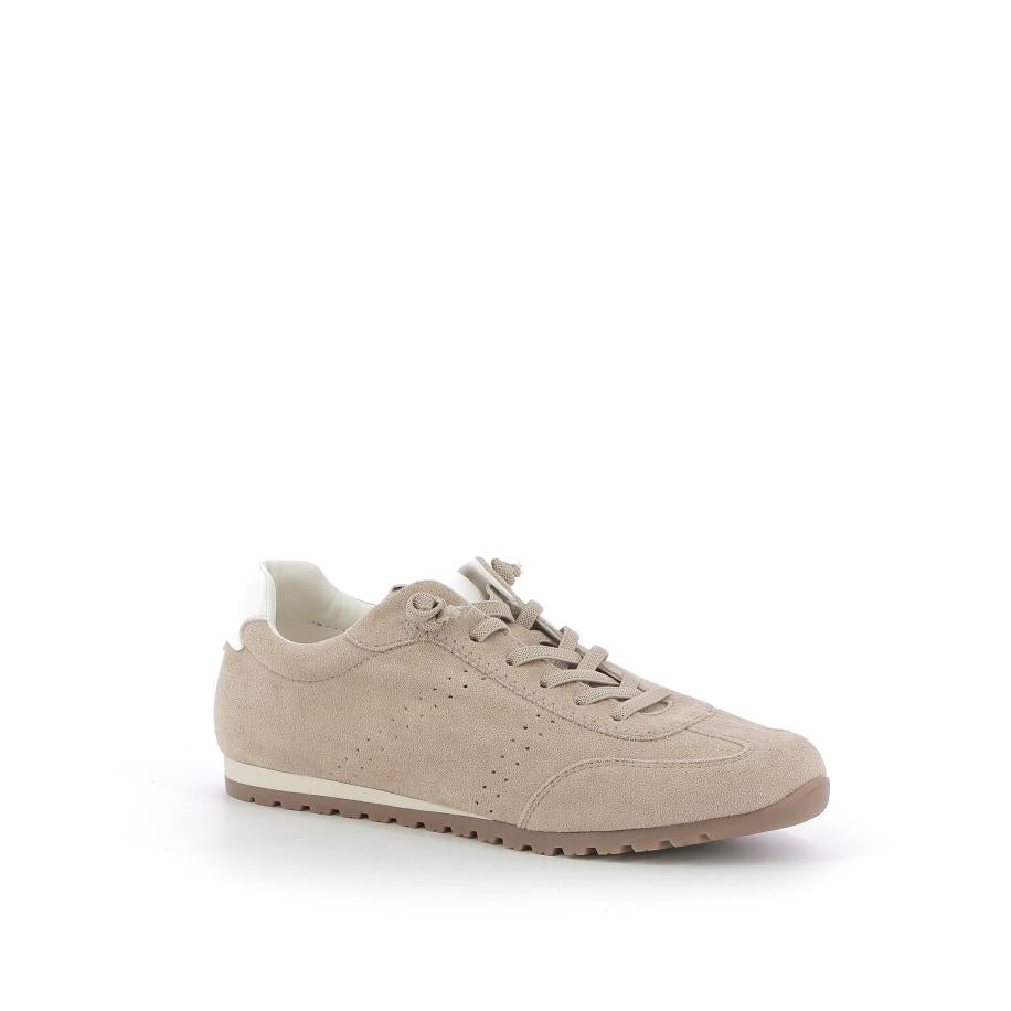  | 253XS517