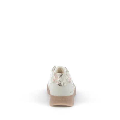  | 253XS571
