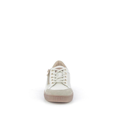  | 253XW5P5