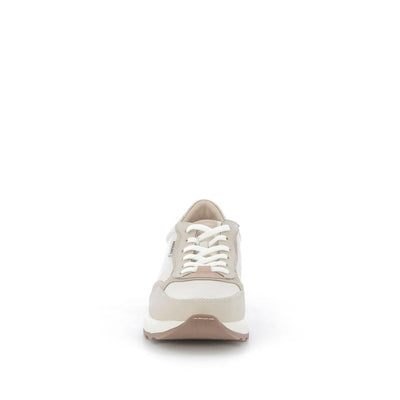  | 253XW5P6