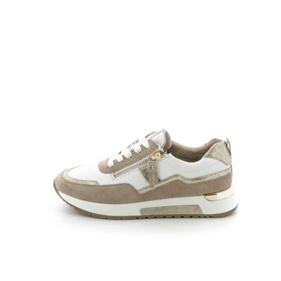  | 253XW6S4