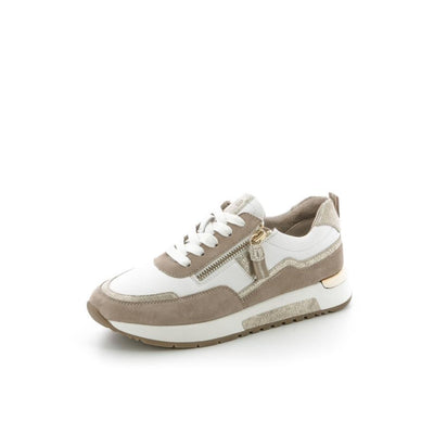  | 253XW6S4