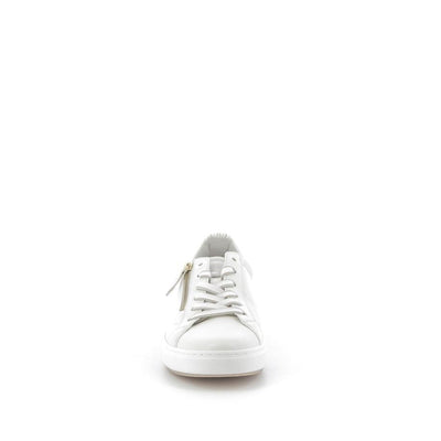  | 253XW730