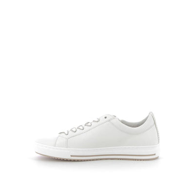  | 253XW730