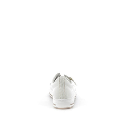  | 253XW730