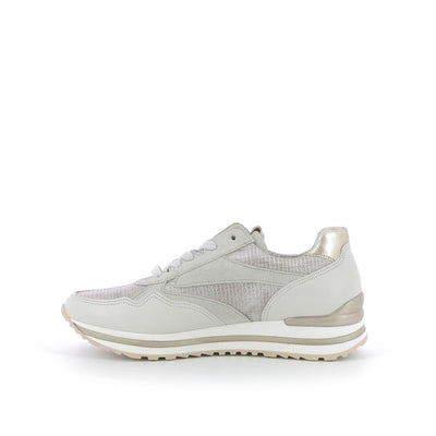  | 253XW731