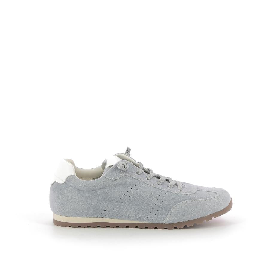  | 254XS517