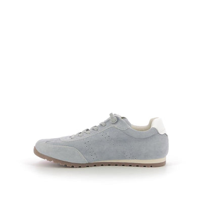  | 254XS517