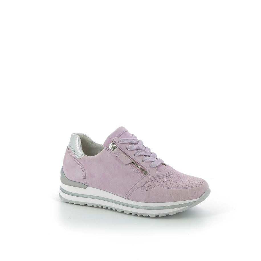  | 255XW0Q2