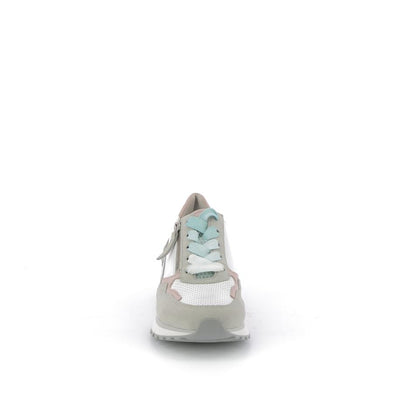  | 255XW0V0