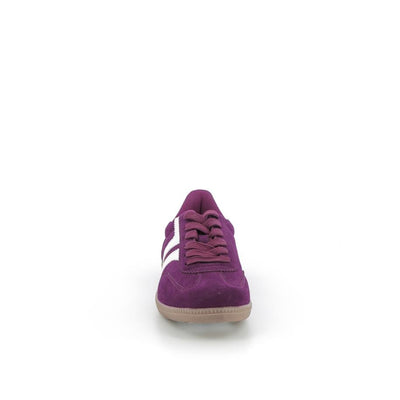  | 255XS240