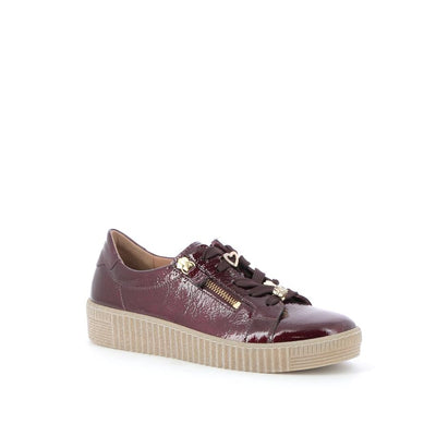  | 255XW499