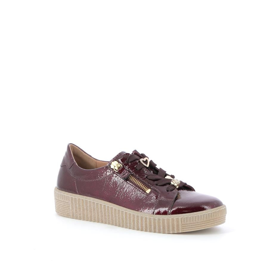  | 255XW499