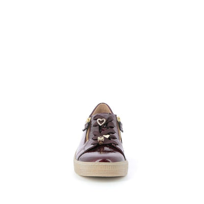  | 255XW499