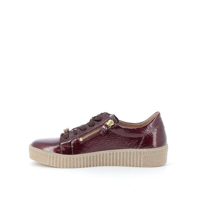  | 255XW499