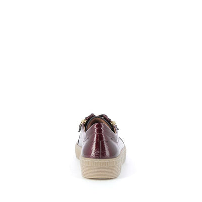  | 255XW499