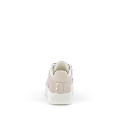  | 255XS5P2