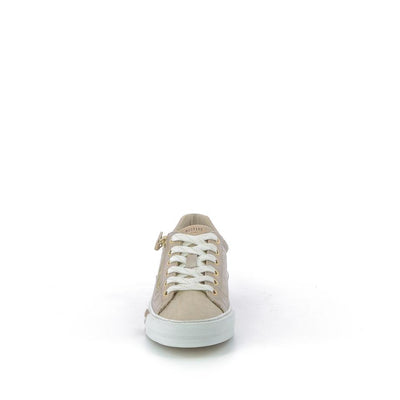  | 256XM0D0