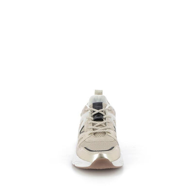  | 256XM172