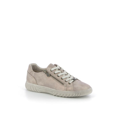  | 256XS179