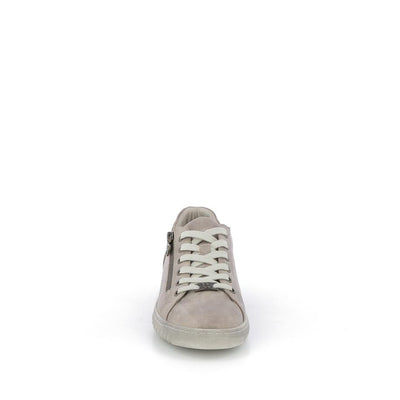  | 256XS179