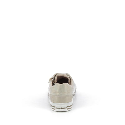  | 256XS190