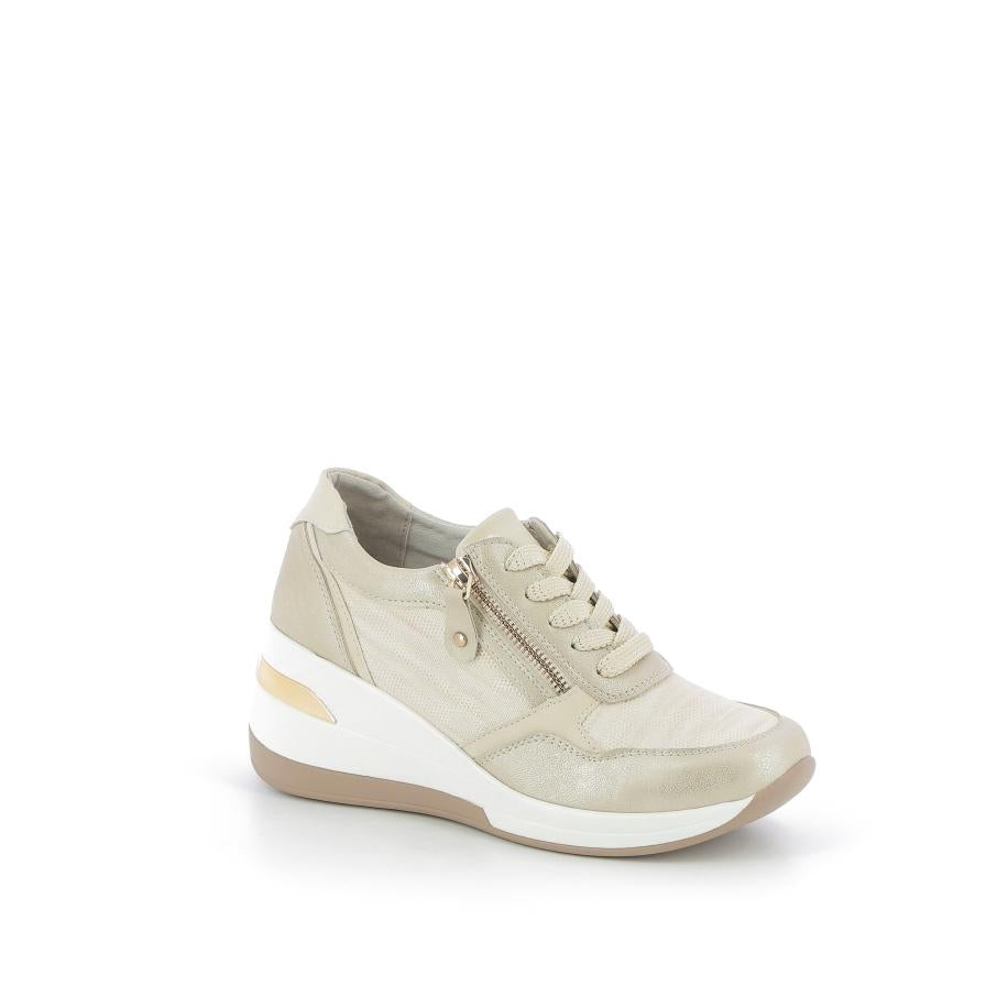  | 256XS191