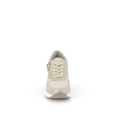  | 256XS191