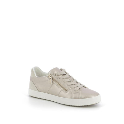  | 256XW196
