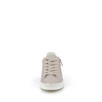  | 256XW196