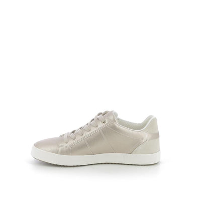  | 256XW196