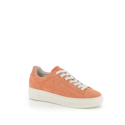  | 256XW1B7