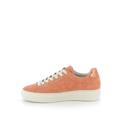  | 256XW1B7