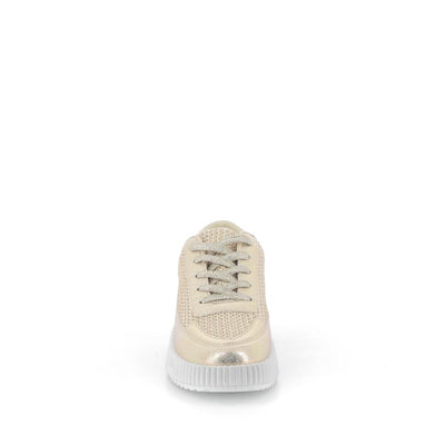  | 256XS1F2