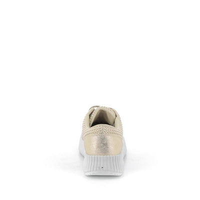  | 256XS1F2