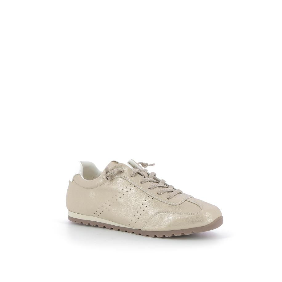  | 256XS516