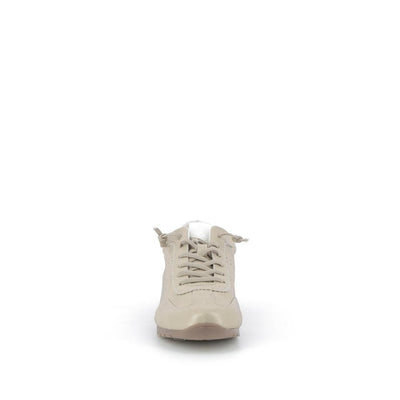  | 256XS516