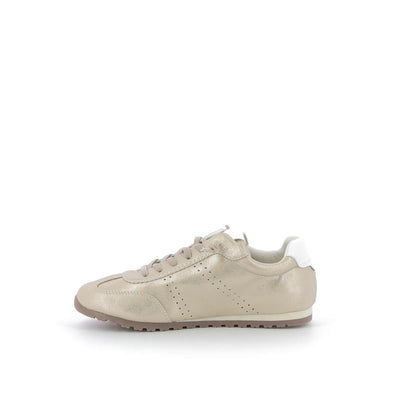  | 256XS516