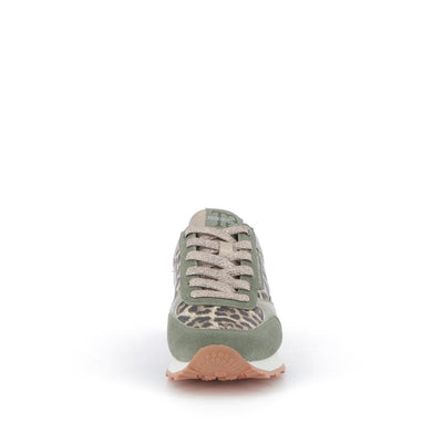  | 257XS462