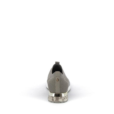  | 258XM319