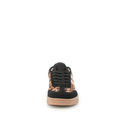  | 259XS412