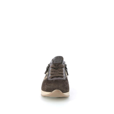  | 259XS4A6