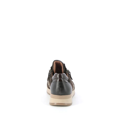  | 259XS4A6