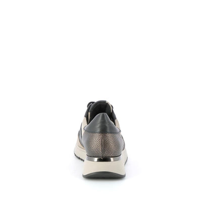  | 259XW4F7