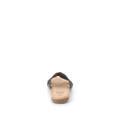  | 321XS004