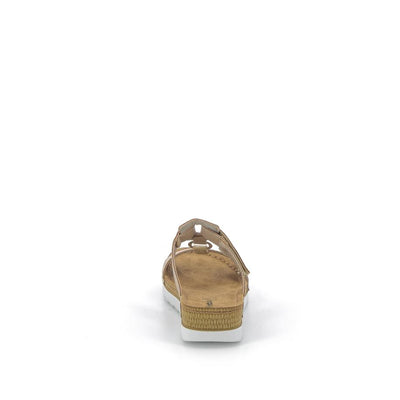  | 323XS018