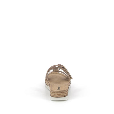  | 323XS061