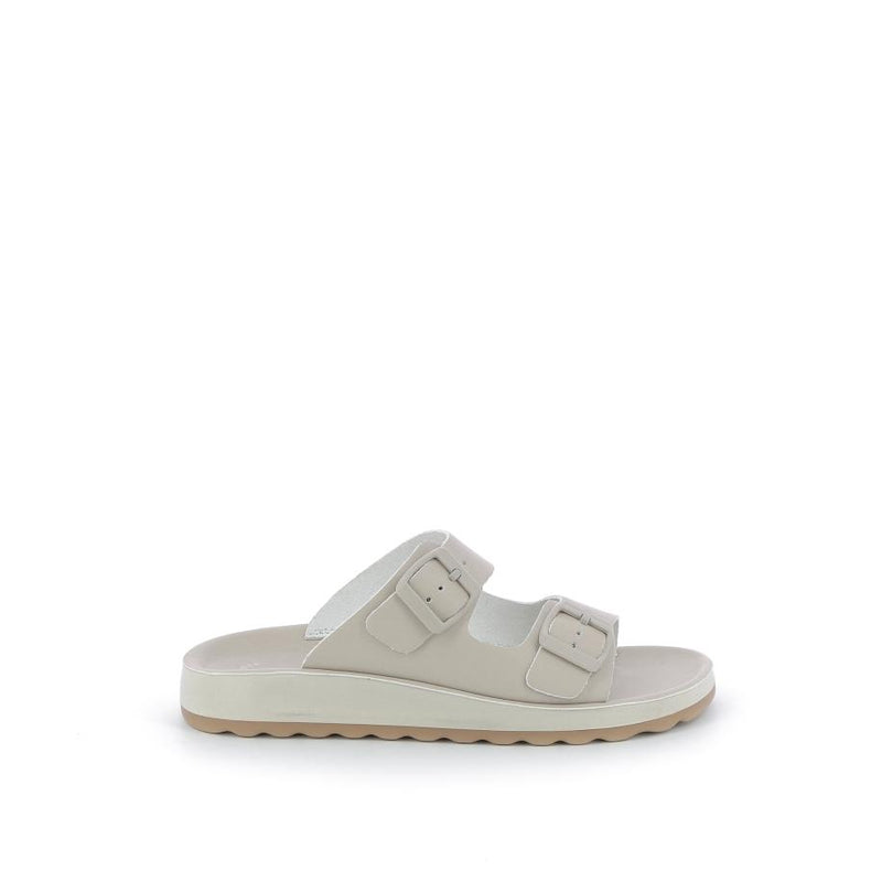 Vliegende Vlot Muilezels